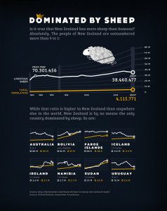 Sheep infographic