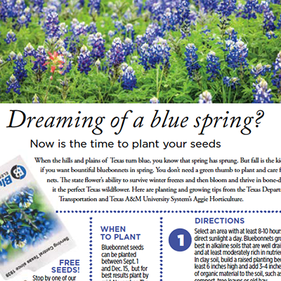 Bluebonnet magazine layout GHEBER